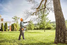 Best Commercial Tree Services  in Weleetka, OK